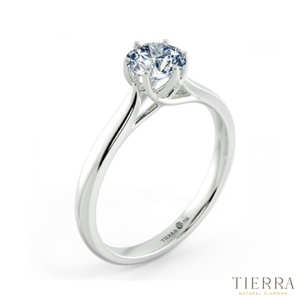 Nhẫn đính hôn Trellis cách điệu và bắt mắt